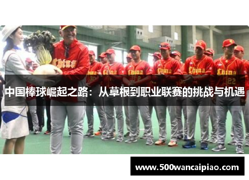 中国棒球崛起之路：从草根到职业联赛的挑战与机遇
